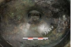 Foto von Bronzephalere (NHMW-PRAE-025824)